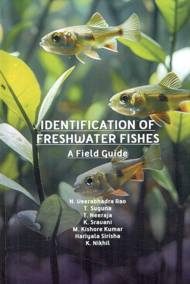Identification of Freshwater Fishes A Field Guide