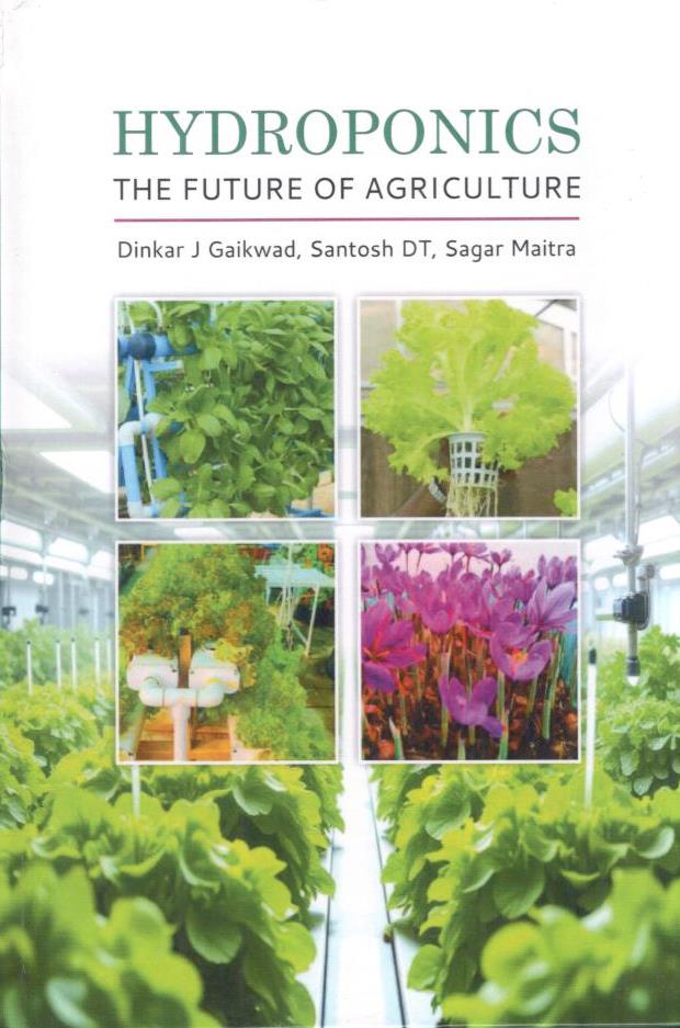 Hydroponics The Future of Agriculture