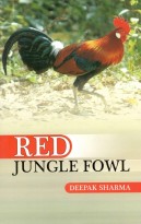 Red Jungle Fowl
