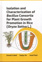 Isolation and Characterization of Bacillus Consortia for Plant Growth Promotion in Rice (Oryza Savita L.)